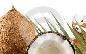 Fresh coconuts in varios forms