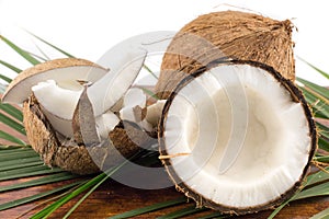 Fresh coconuts in varios forms photo