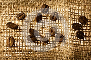 Fresh coffee bean is on the burlap sack background.
