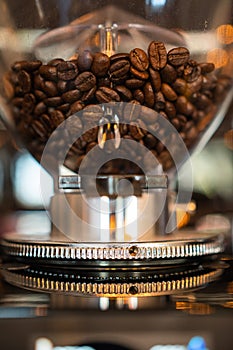Fresh coffee bean grinder machine