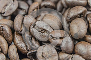 Fresh Coffee Beans Close Up