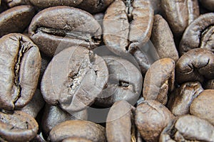 Fresh Coffee Beans Close Up