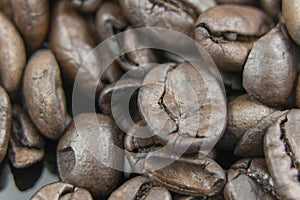 Fresh Coffee Beans Close Up