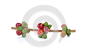 Fresh coffee beans isolated on white background