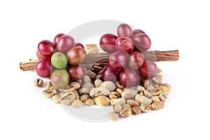 Fresh Coffee Red Berry branch and Coffee beans isolated on white background