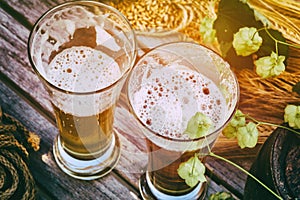 Fresh cold beer glasses in rustic setting