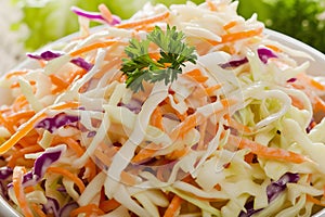 Fresh Coleslaw Salad with green and red cabbage