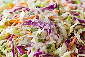 Fresh Coleslaw Salad with green and red cabbage