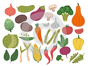 Fresh color vegetables set. Vegetarian farm, broccoli green healthy vegetable. Isolated greens, doodle onion big