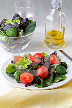 fresh colored cherry tomato salad with arugula, Basil, spinach, salad and olive oil dressing. selective focus
