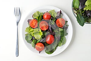 fresh colored cherry tomato salad with arugula, Basil, spinach, salad and olive oil dressing. selective focus