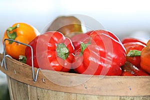 Fresh Colorful Bell Pepper Vegetables in basket at Farmer`s Market in West Tennessee