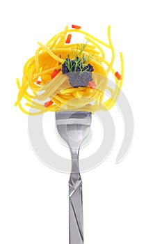 Fresh colorful composition seafood with pasta on fork