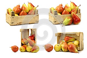 Fresh and colorful `Forelle` pears in a wooden crate