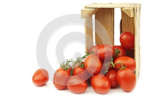 Fresh and colorful italian roma tomatoes on the vine in a wooden crate