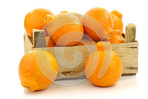 Fresh and colorful Minneola tangelo fruit