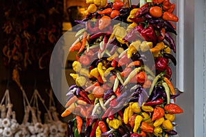 Fresh colorful spicy peppers and paprika hanging on wall on market