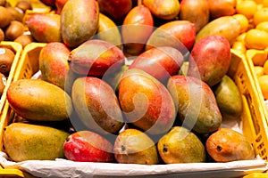 Fresh colorful tropical mangoes on display at outdoor farmers market. Ripe fruits on open market. Healthy, diet and food