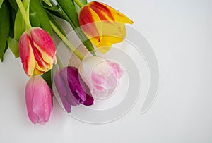 Fresh colorful tulip flowers bouquet on shelf in front of wooden wall. View with copy space