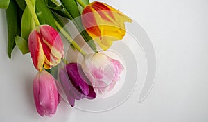 Fresh colorful tulip flowers bouquet on shelf in front of wooden wall. View with copy space. space for text