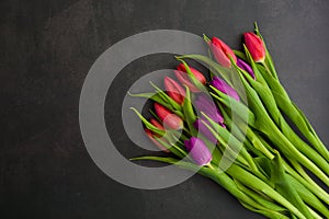 Fresh colorful tulip flowers on dark stone table. Top view, copy space