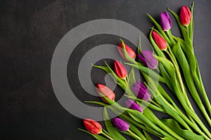 Fresh colorful tulip flowers on dark stone table. Top view, copy space