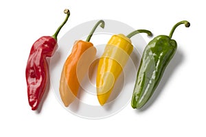 Fresh colorful variety of sweet pointed peppers