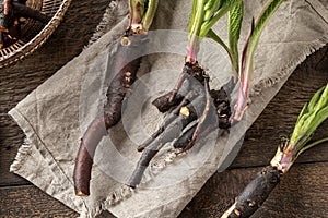 Fresh comfrey root with young leaves