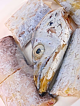 Fresh Conger fish