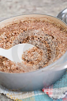 Fresh cooked buckwheat