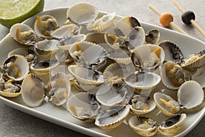 Fresh cooked common cockles