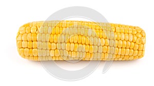 Fresh cooked corn cob