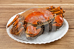 fresh cooked crab at horizontal composition
