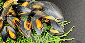 Fresh Cooked Mussels And Samphire