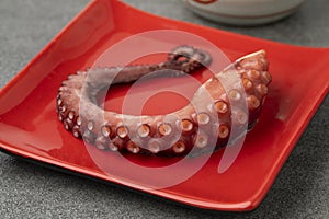 Fresh cooked octopus tentacle
