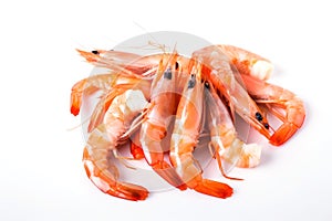 Fresh cooked shrimp isolated on white background. Seafood