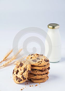 Fresh cookies bread with milk bottle on white background.