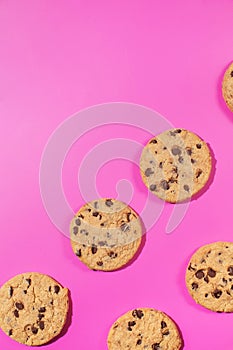 Fresh cookies with chocolate chips on a pink background. Dessert, a pastry shop. Pattern. Copy space