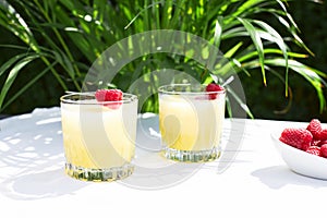 Fresh cool cocktail of melon with ice and lime slices, garnished with fresh raspberries. Summer drinks and smoothies