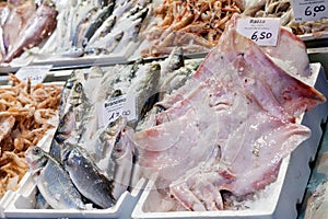 Fresh cool fish on ice at street market photo
