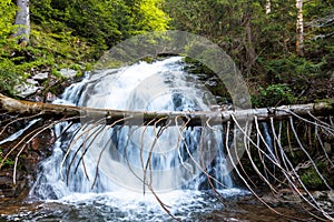 Water from stream runs among stones and runs under an log in a forest