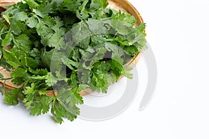 Fresh coriander on white