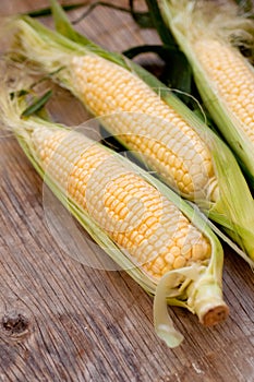 Fresh corn