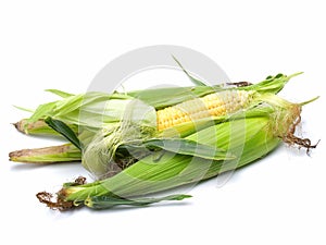 Fresh corn