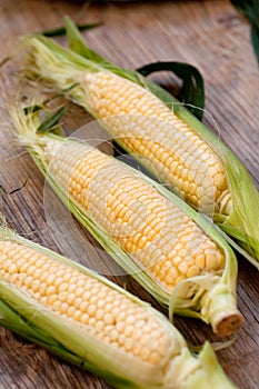 Fresh corn