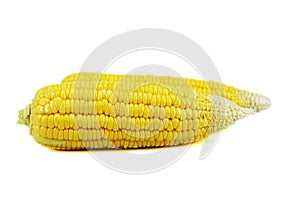 Fresh corn