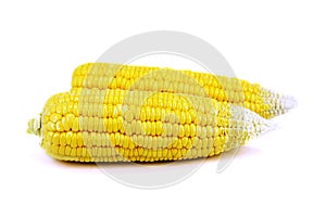 Fresh corn