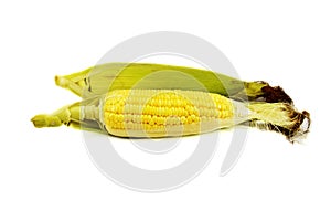 Fresh corn