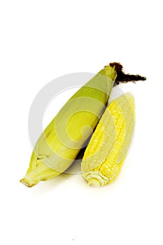 Fresh corn