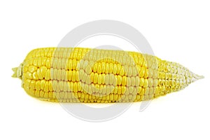 Fresh corn